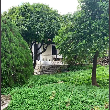 Prázdninový dům Aloni House *