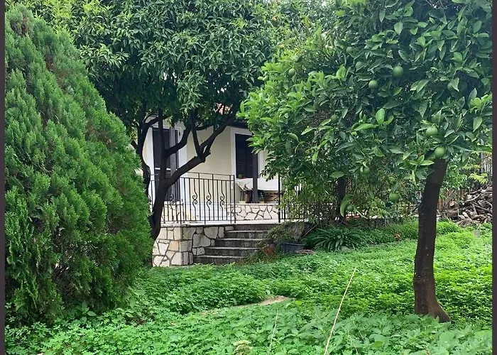 Casa de Férias Aloni House *