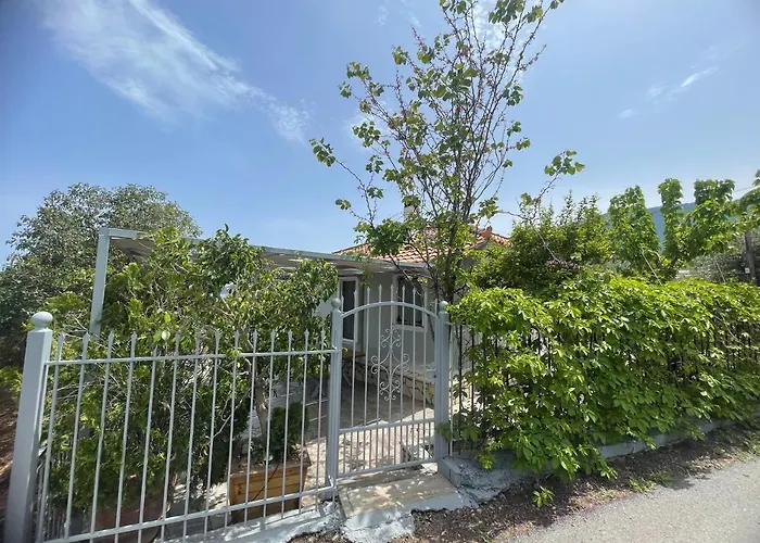 Prázdninový dům Aloni House